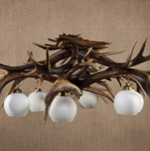 Żyrandol z poroża jelenia na 6 pkt. świetlnych
