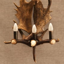 Kinkiet z łopat daniela